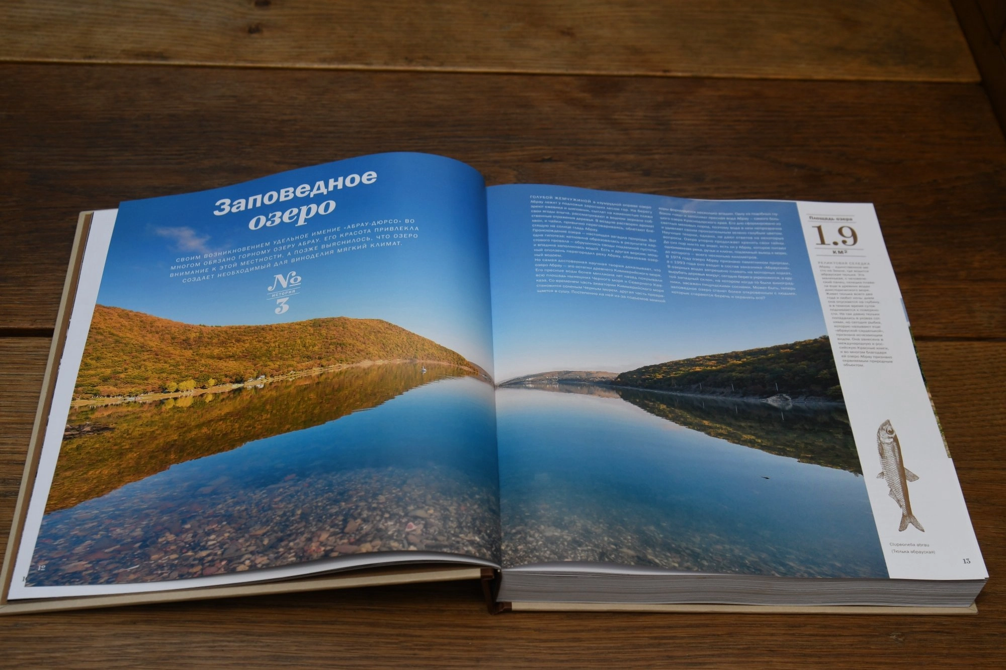 Полиграфия для конкурса «Корпоративный музей»
