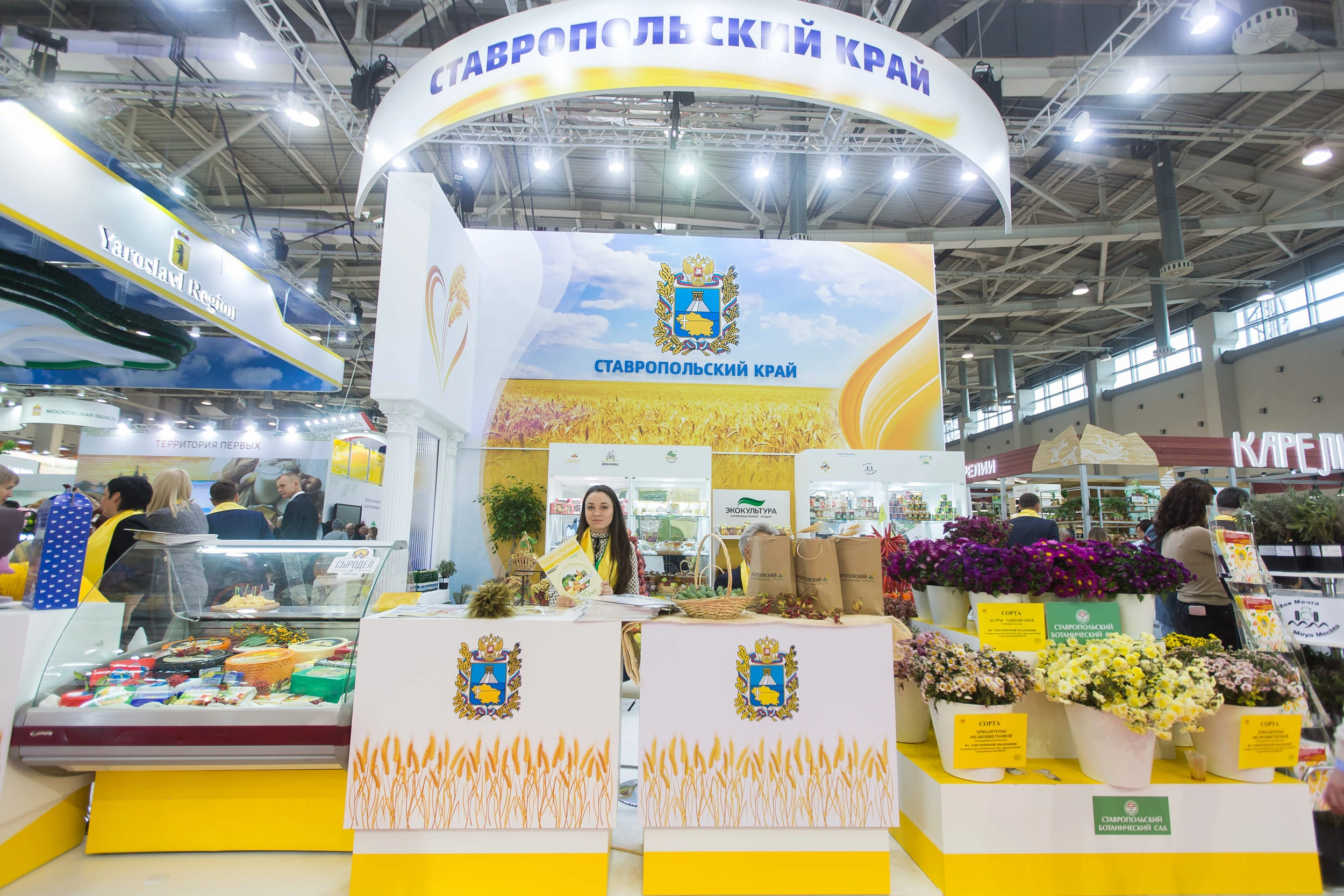 Оформление международного агропромышленного форума