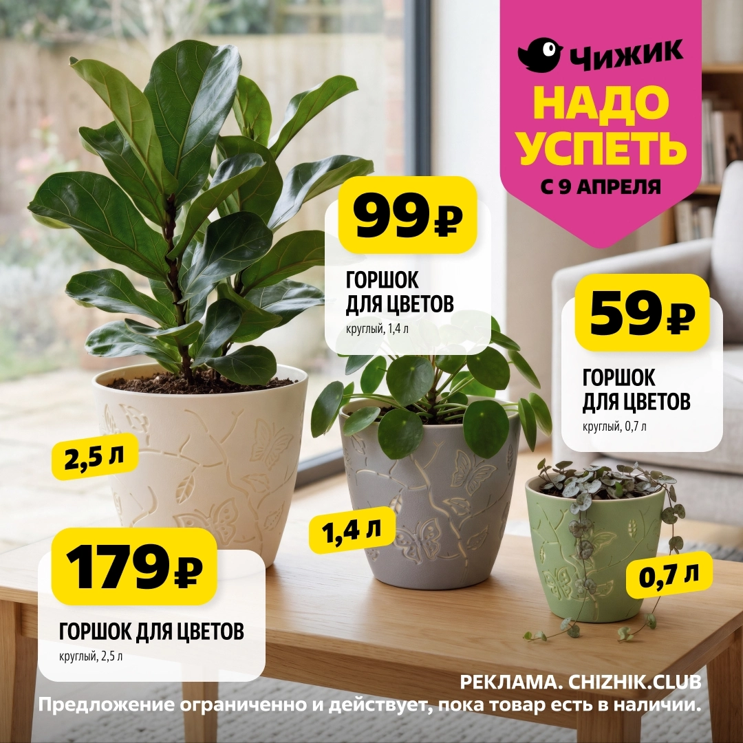 Универсальный еженедельный каталог