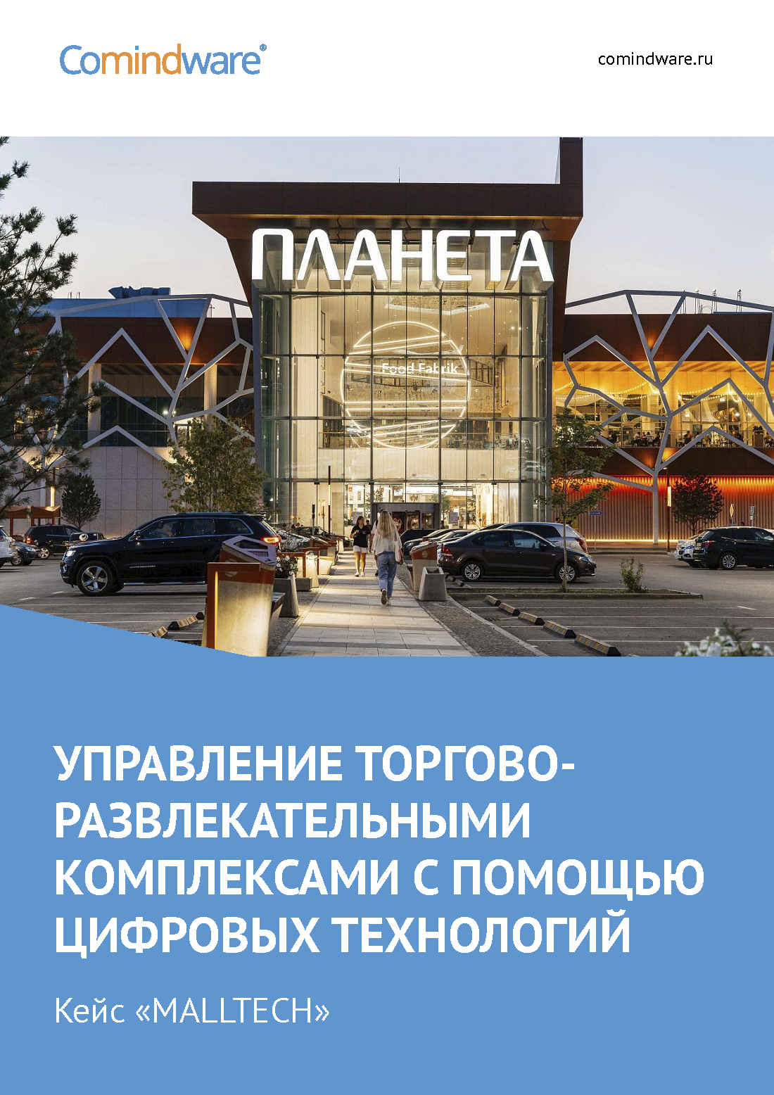 Годовой инвестиционный отчет