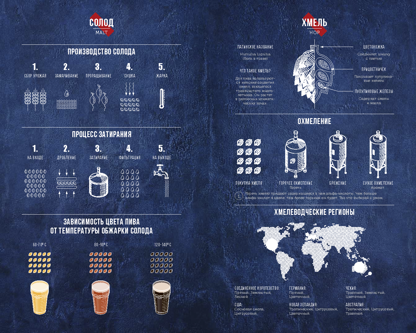 Презентационный буклет для сегмента HoReCa