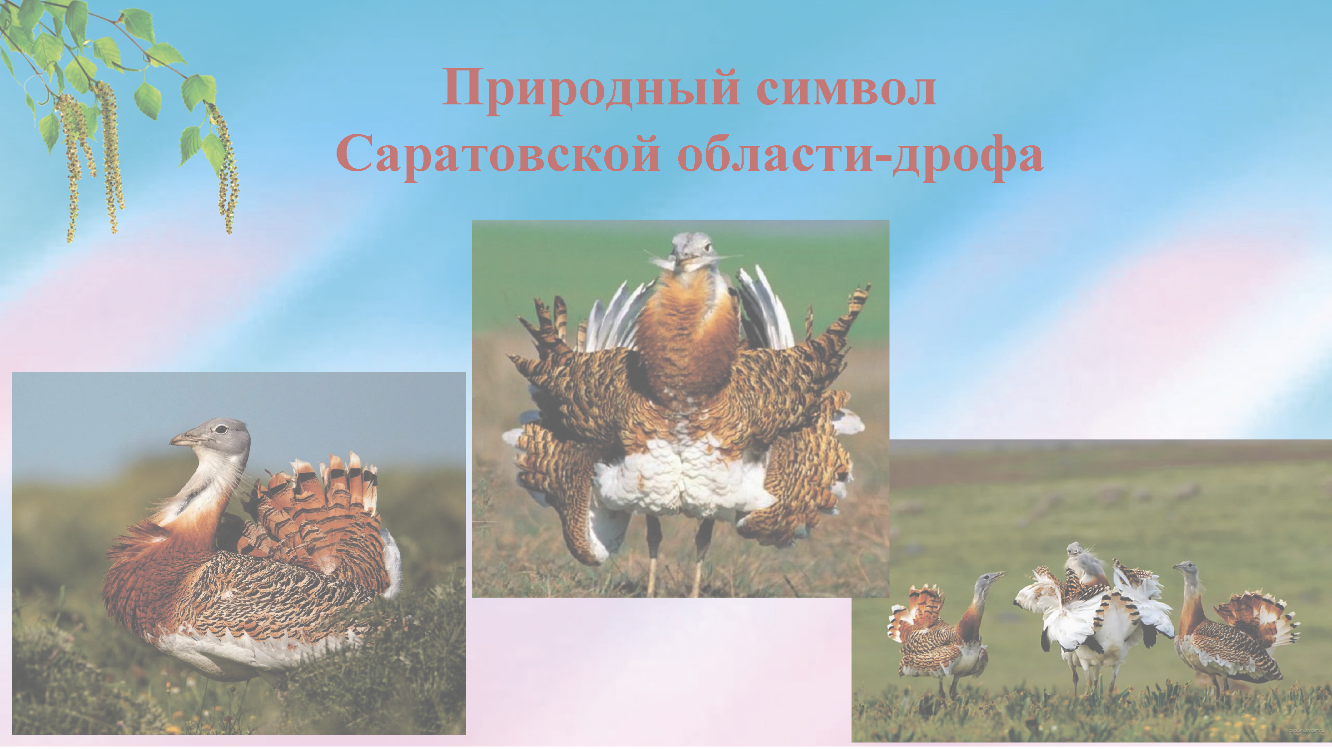 Инвестиционный отчет социально-экономического развития