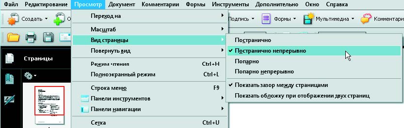 Рис. 1.131. Команды подменю Вид страницы