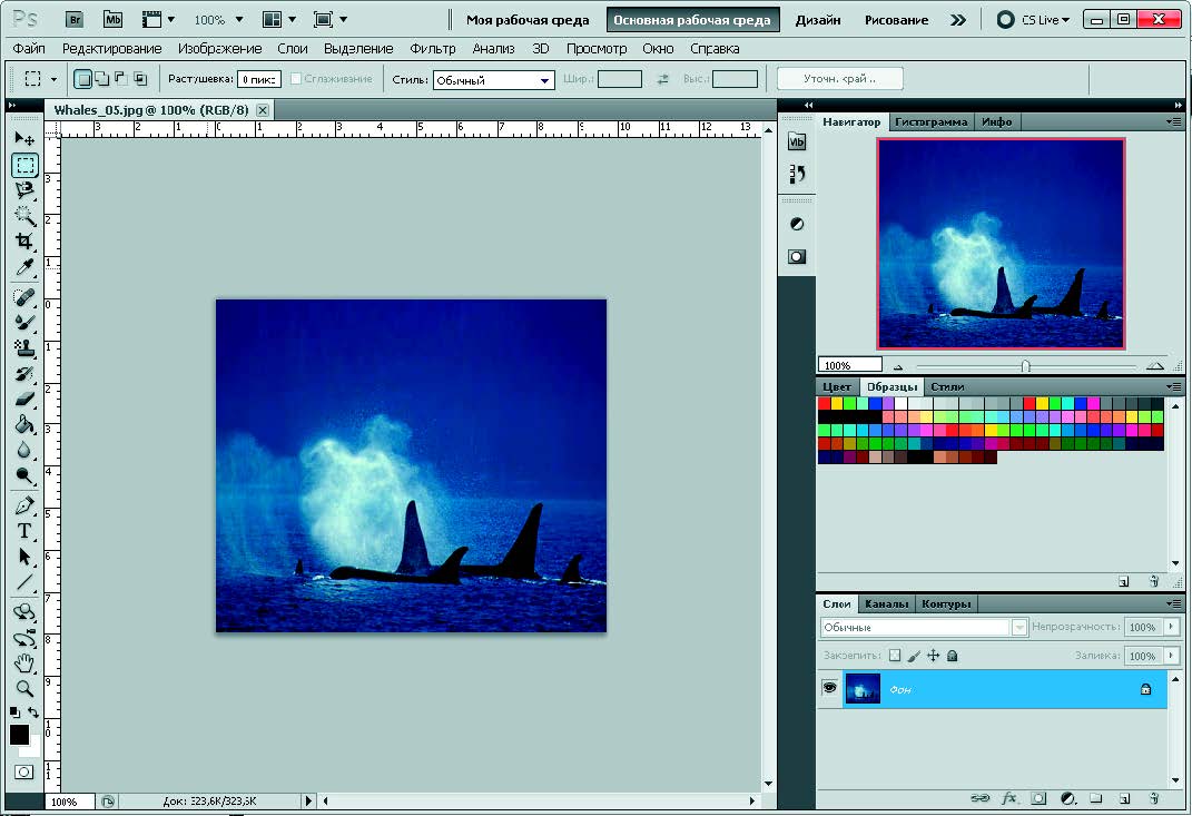 Рис. 1.2. Интерфейс программы Adobe Photoshop CS5