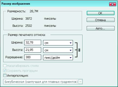 Рис. 1.71. Диалоговое окно Размер изображения