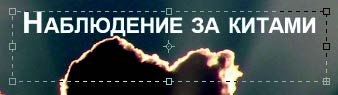 Рис. 2.48
