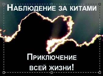 Рис. 2.50