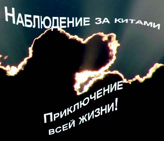 Рис. 2.54