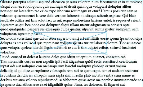 Рис. 6.132. Фрейм в центре текстового блока