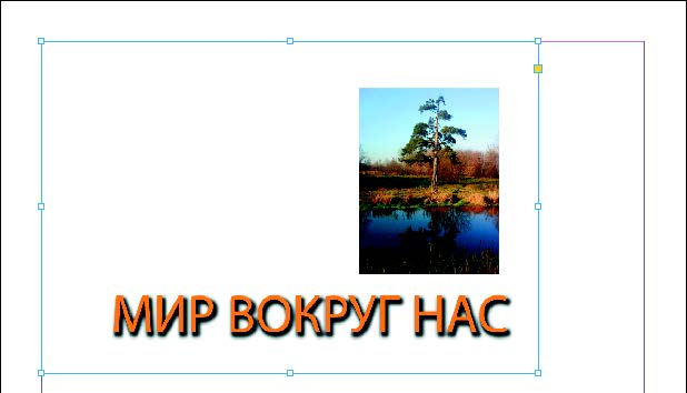 Рис. 6.158. Отредактированное изображение в программе InDesign