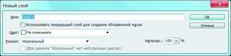 Рис. 6.88. Диалоговое окно Новый слой